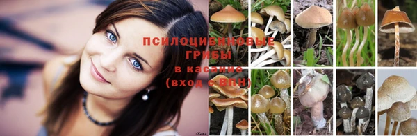 спайс Киреевск