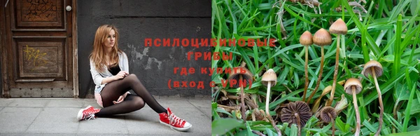 спайс Киреевск