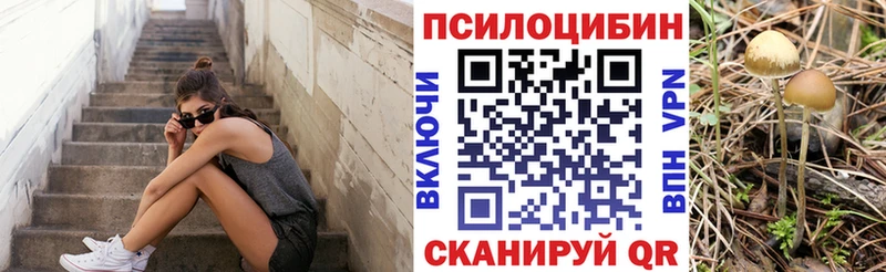 Купить  Бикин  Псилоцибиновые грибы Magic Shrooms 